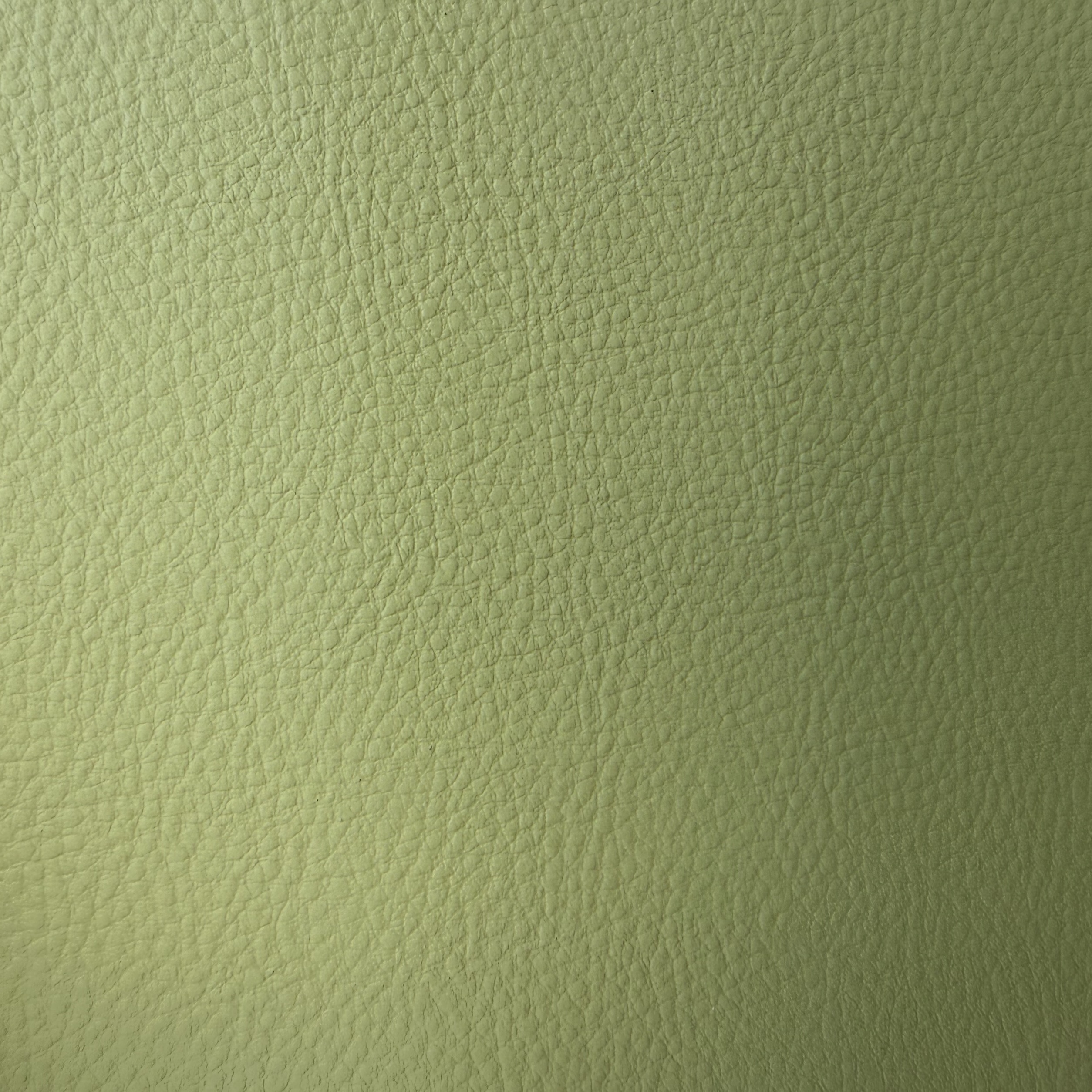 Green Sofa Leather